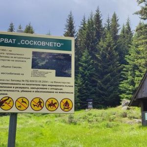 РИОСВ – Смолян засилва мерките срещу пожари в защитени територии