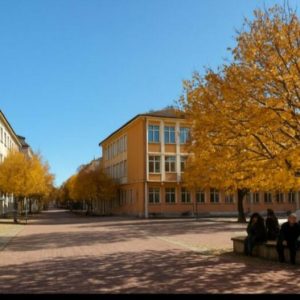 Граждани внесоха подписка в Общинския съвет-Смолян за премахване на опасни дървета