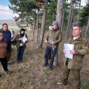 Експерти обсъдиха в Смолянско мониторинга и контрола на боровата процесионка