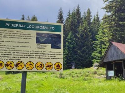 РИОСВ – Смолян засилва мерките срещу пожари в защитени територии